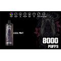 Ecigs desechables de la bobina de malla Pen 8000puffs