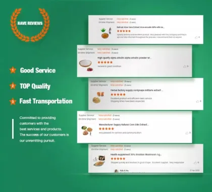 Build Muscle BCAA Whey Protein Powder