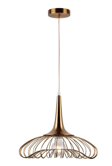 Indoor Decorative Modern Metal Pendant Hanging Light