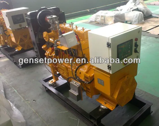20kw to 830kw Lpg Electric Generator