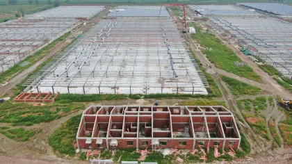 Modernized Pig Farming Project in Linquan County Fuyang