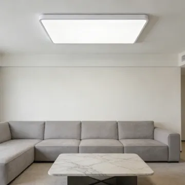 Indoor ceiling fixture for ambient lighting