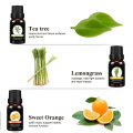 100% pure and natural eucalyptus oil for food and medical products