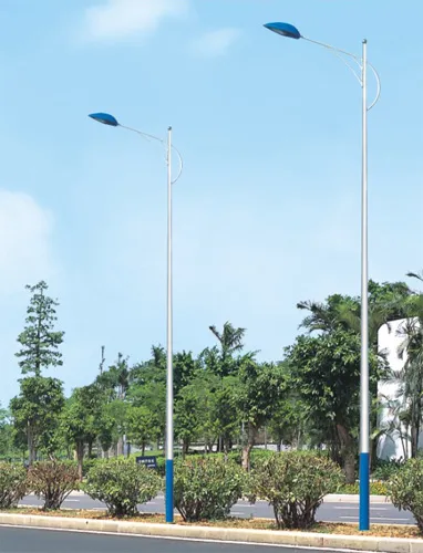Single Head Street Lamp