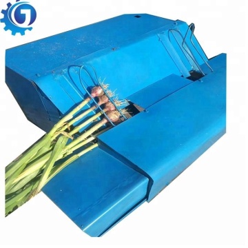 Fresh Garlic Stem and Root Cutting Machine