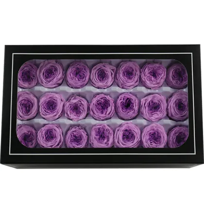 Wholesale Long-Lasting Austin Preserved Roses - Eternelle Eternal Flowers