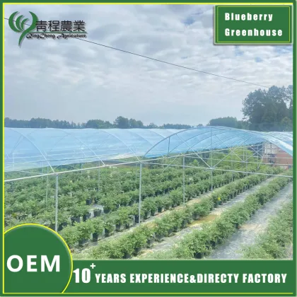 Blueberries Greenhouse Structure Design