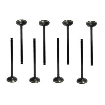 Exhaust Valve 1011A493 for Engine Systems