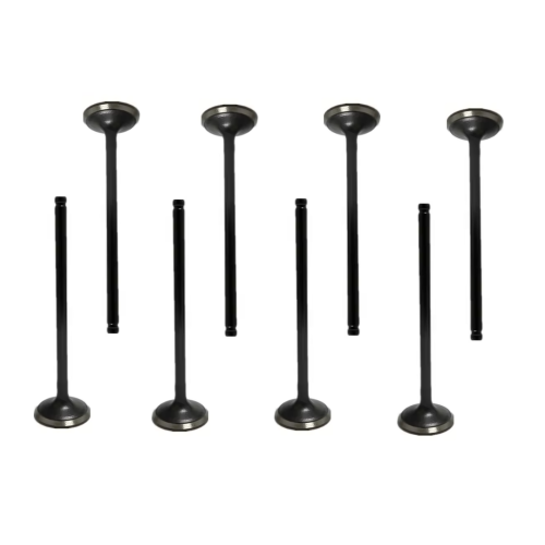 1011a493 escape de la válvula