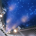 Fibre Optic Starry Ceiling Lights