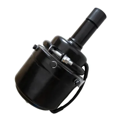 Hot Sale T9/6200 D/P & T12/6200 D/P Brake Chambers for FORD Trucks