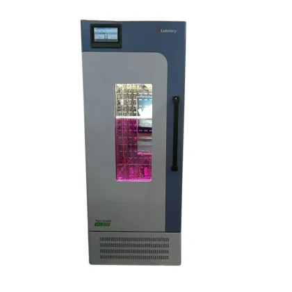 Science Laboratory Equipments: School Incubator Lighting and Plant Growth Chambers