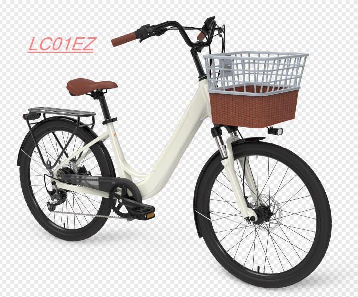 Ebike Rental