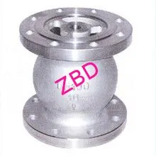 Wcb Stainless Steel Threaded Check Valve Bspt