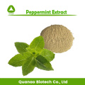 Mentol Crystal Peppermint alcanfor 99% Extracto de menta