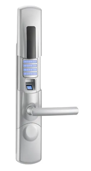 Best Security Biometric Fingerprint Door Locks For Home Residential