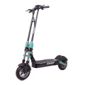 2 hjul utanför Road Electric Scooter