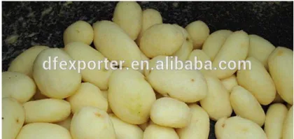 French fries machine, Electric fries machine