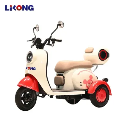 600W Powerful Electric Tricycle - 2 Seater Fashion Motorcycle