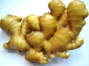 Good Quality Fresh Ginger