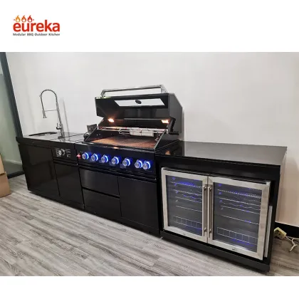 Modern BBQ Island Stainless Steel Kitchen Cabinets Price Mobile Home Kitchen Cabinets Kitchen Accessories Cabinet