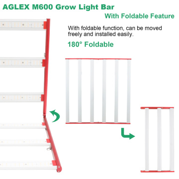 AGLEX 600W augmente la lumière pour la plantation médicale