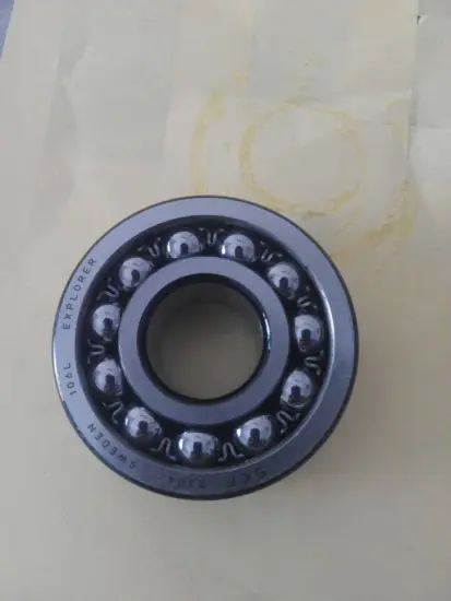2304 SKF