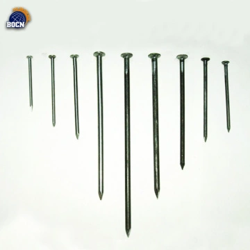 China Common Nail Common Wire Nail Common Framing Nails Manufacturer