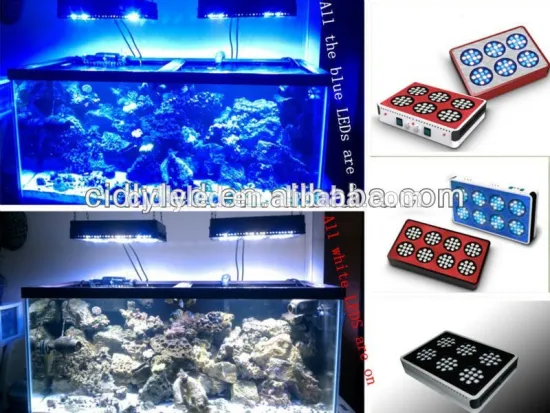 CIDLY LED 6 hot sale full spectrum led aquarium lights from china for fish tank