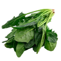 Spot supply natural freeze dried spinach powder