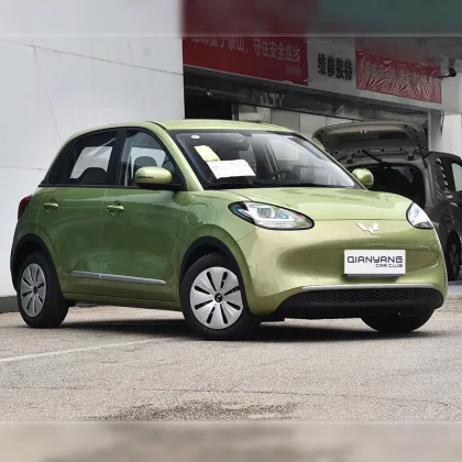Dongdong High Speed Mini Electric Car Wuling Bingo 2023 333KM for Russia and Uzbekistan