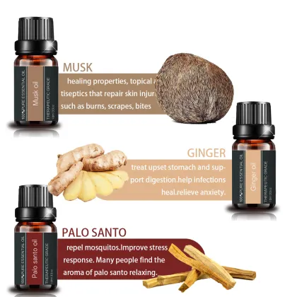 Wholesale OEM Oud Musk Oil Pure Musk Perfume Fragrance Oil