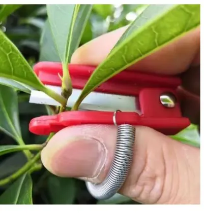 Orchard Fruit & Vegetable Gardening Tools: Knives, Thumb Pruners & Pick Cutters