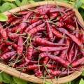 Wholesale high quality Guizhou Plateau pepper not added