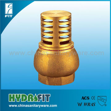 brass Check Valve