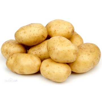 2020 Top Quality Fresh Potato