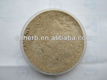 dried Yacon root powder