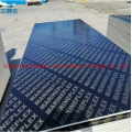Customized Black Film Faced Plywood