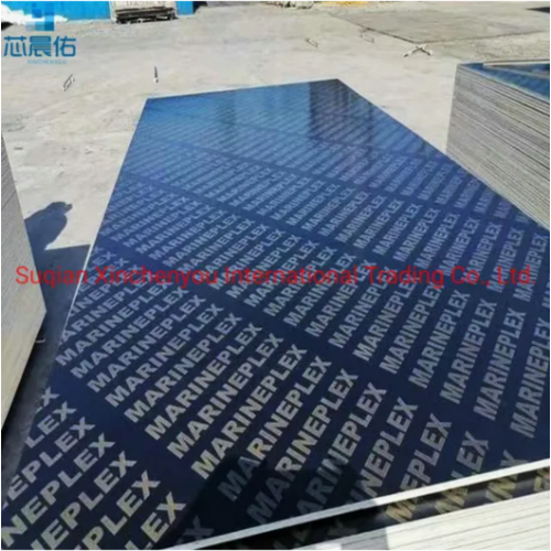 Customized Black Film Faced Plywood