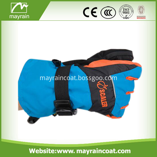 Ski Gloves Wholesale Gloves