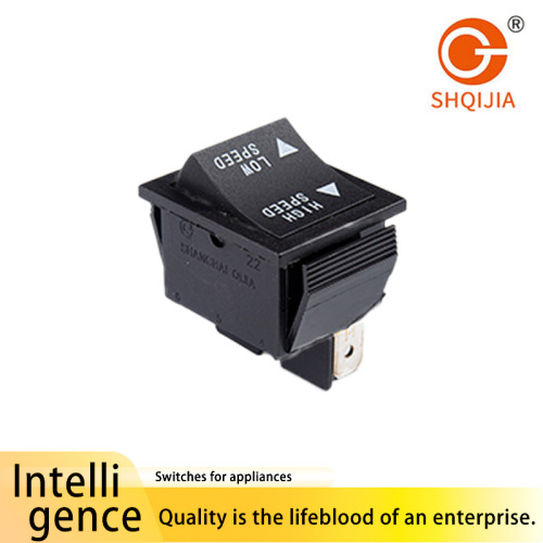 Interruptor de palanca R11-212 en la serie R11-1