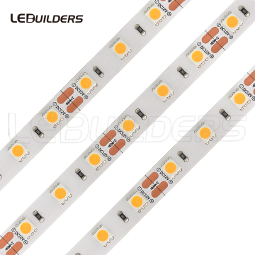 5050 SMD LED Strip con CRI 97-98 Spectrum completo