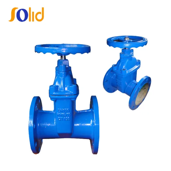 Ductile Iron Small Type BS5163 Resilient seated Gate Valve