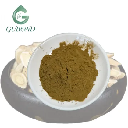 Astragalus Extract Powder for Dietary Supplements