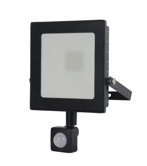 Advanced Wide-Angle Motion Sensor Flood Light
