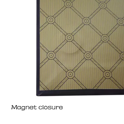 Specialty paper folding box with magnet