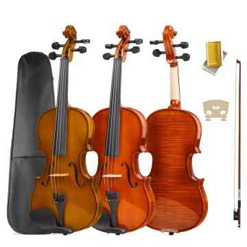 Violino de qualidade Tayste de tamanho total R80s