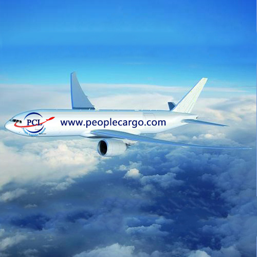 bestprice for grapefruit air transport to North America