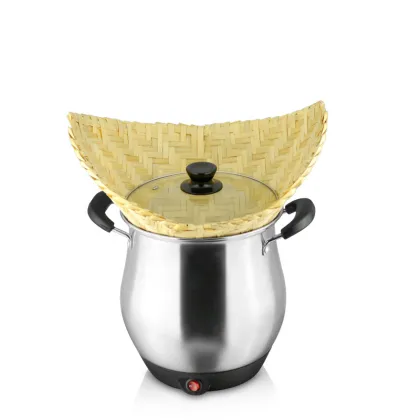 Energy Saving Multi-functional Double Layer Electric Steamer