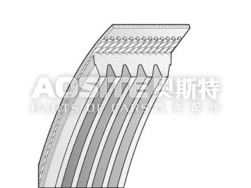 V-Ribbed Belt for FORD TRANSIT Box